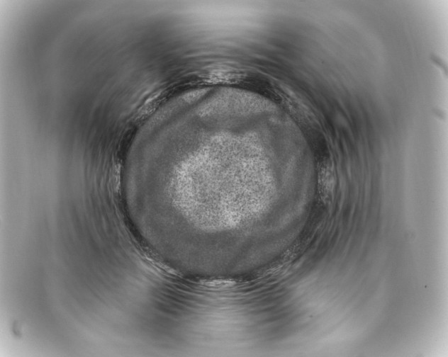 X0000098150554200805081044