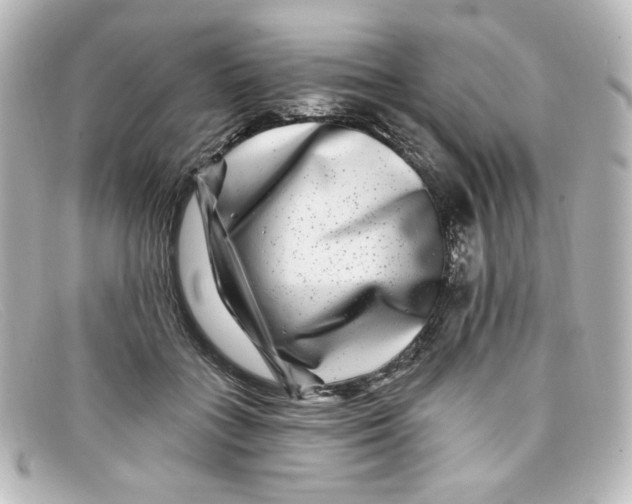 X0000098150555200805081044