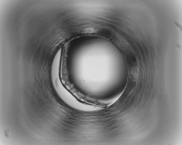 X0000098150556200805081044