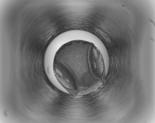 X0000098150560200805081044
