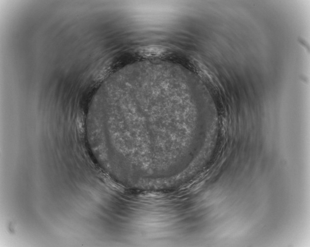 X0000098150561200805081044