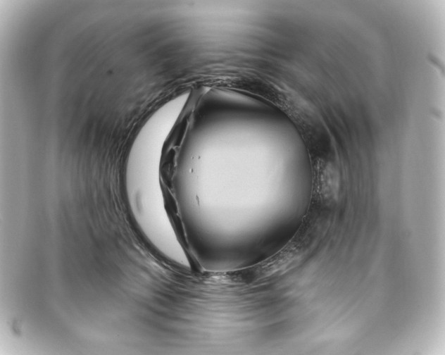 X0000098150562200805081044