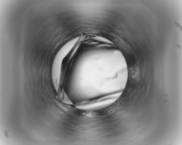 X0000098150564200805081044