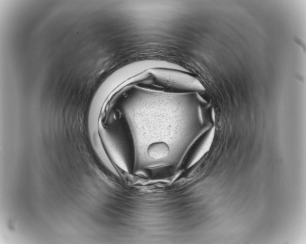 X0000098150568200805081044