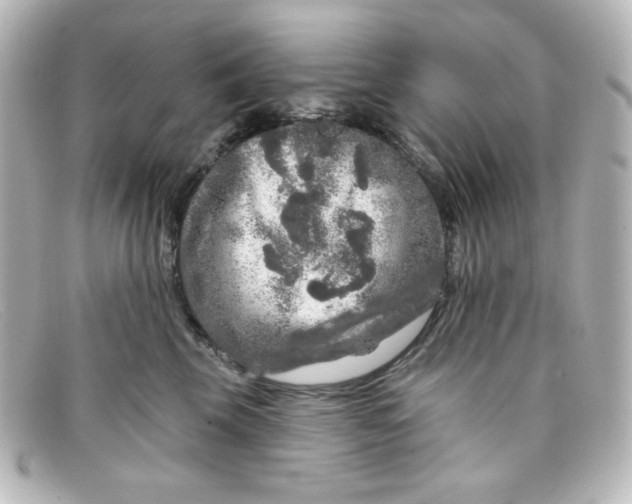 X0000098150569200805081044