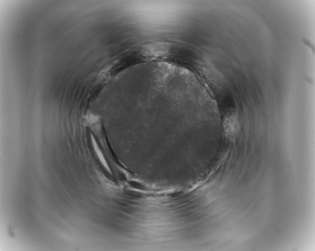 X0000098150570200805081044
