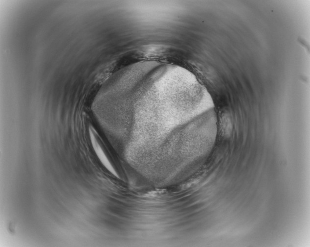 X0000098150571200805081044