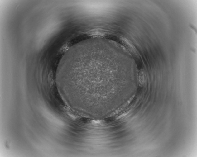 X0000098150573200805081044