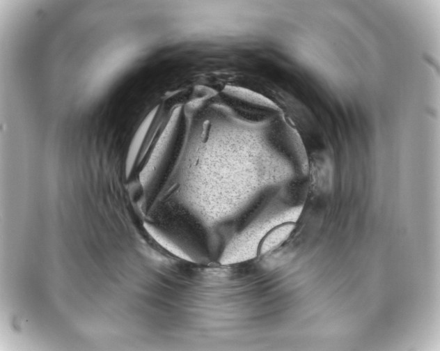 X0000098150574200805081044