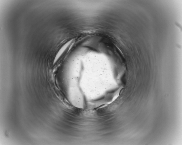 X0000098150576200805081044