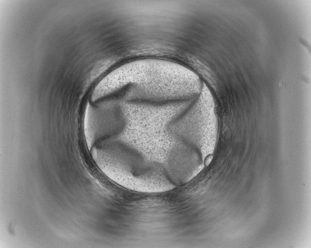 X0000098150578200805081044