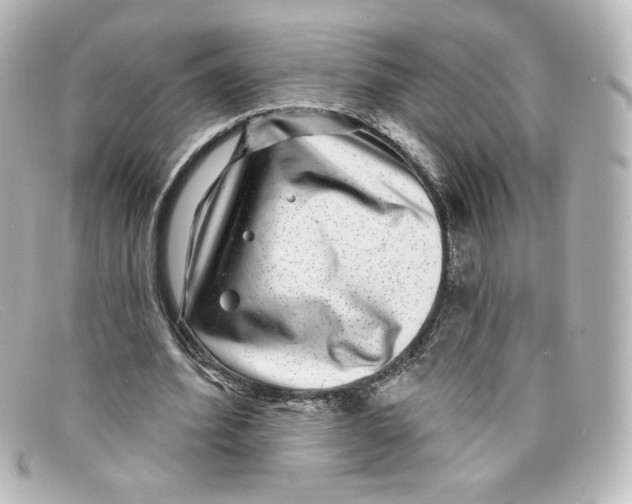 X0000098150580200805081044