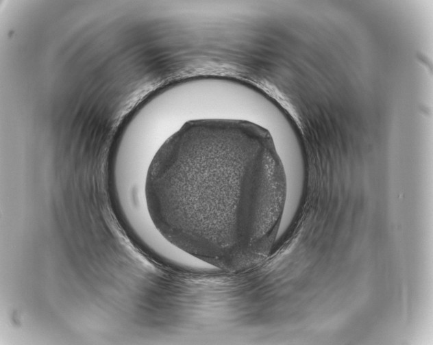 X0000098150581200805081044