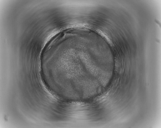 X0000098150582200805081044