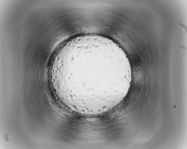 X0000098150583200805081044
