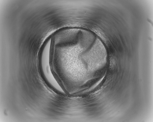 X0000098150584200805081044