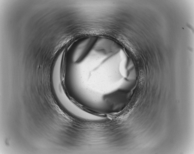 X0000098150585200805081044