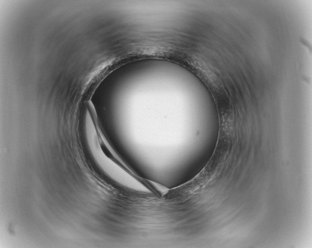 X0000098150587200805081044