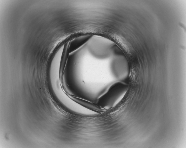 X0000098150588200805081044