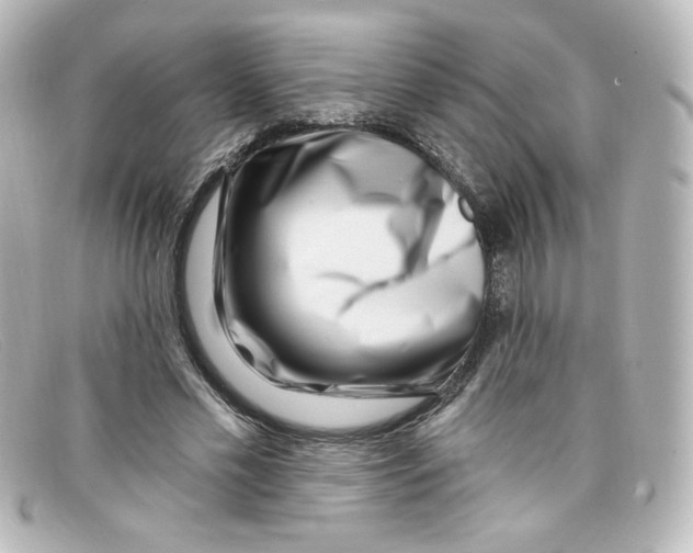 X0000098150589200805081044
