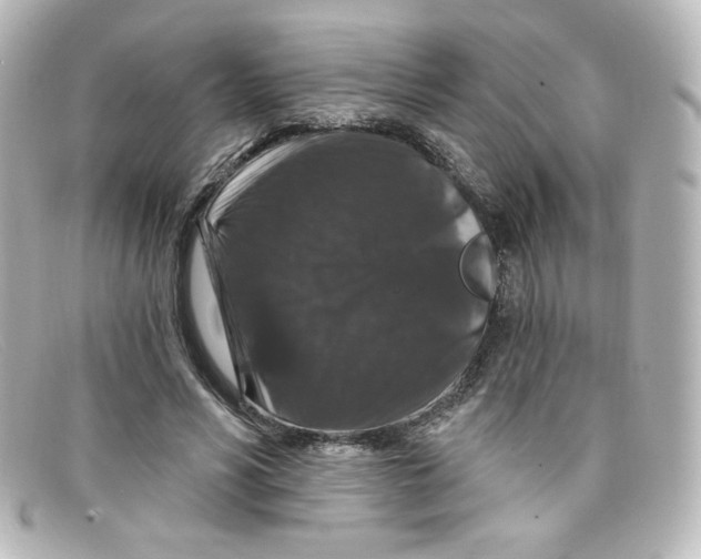 X0000098150590200805081044