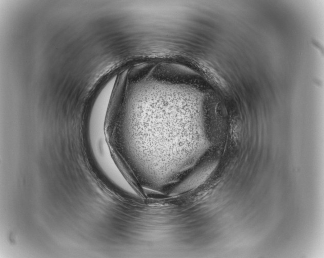 X0000098150591200805081044