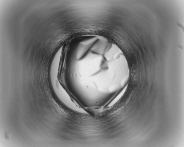 X0000098150593200805081043