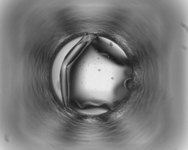 X0000098150596200805081043