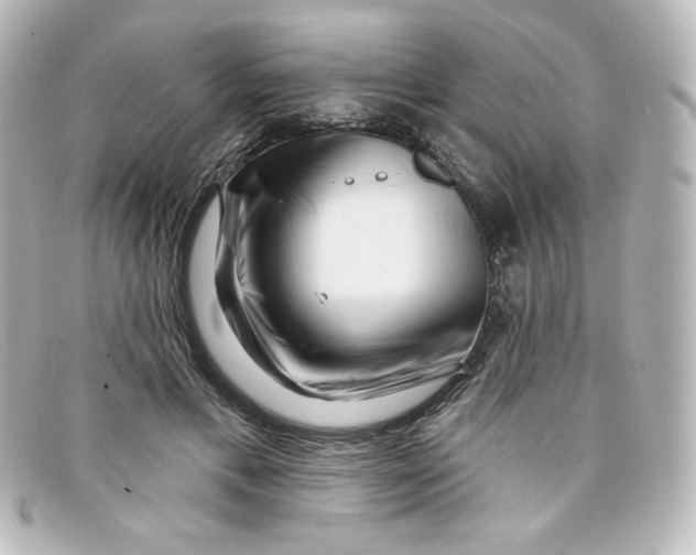 X0000098150597200805081043