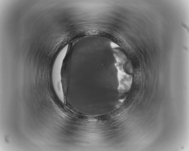 X0000098150598200805081043