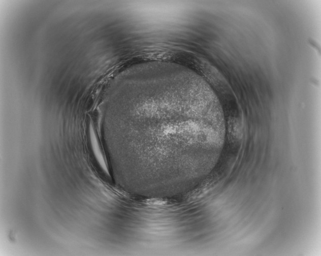 X0000098150602200805081043