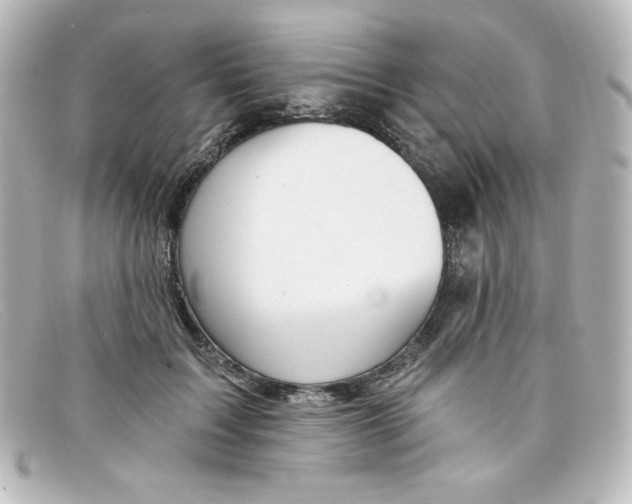 X0000098150603200805081043