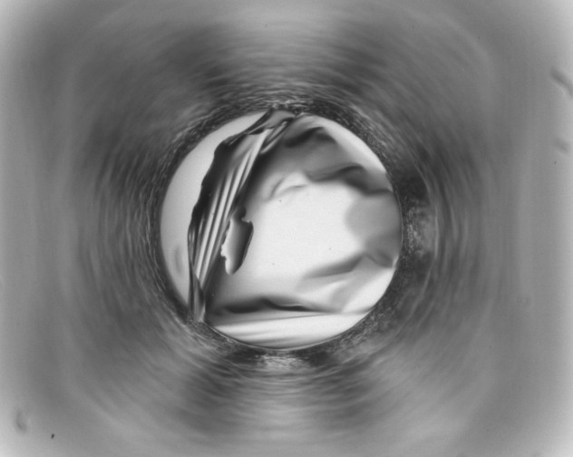 X0000098150605200805081043