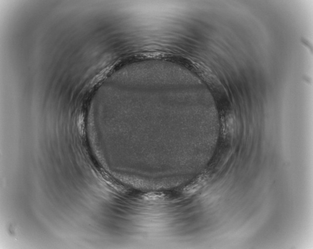 X0000098150606200805081043