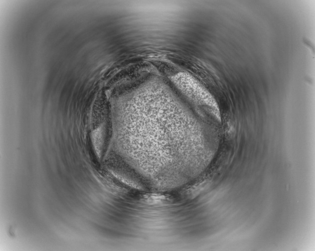 X0000098150607200805081043