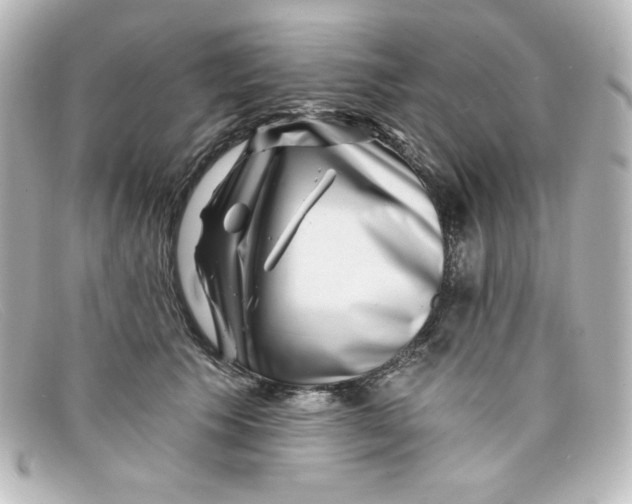 X0000098150609200805081043