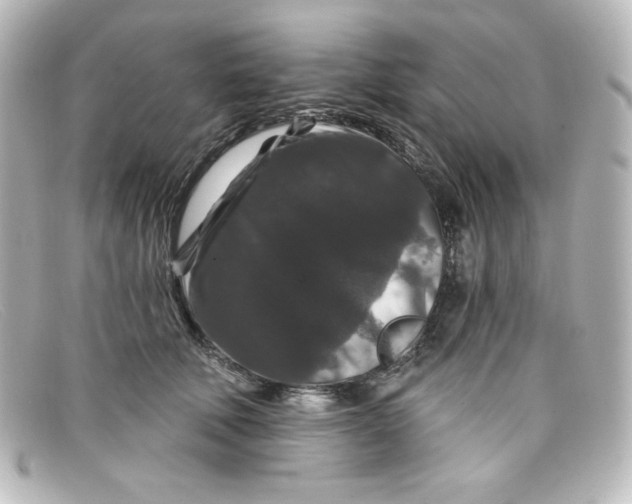 X0000098150610200805081043