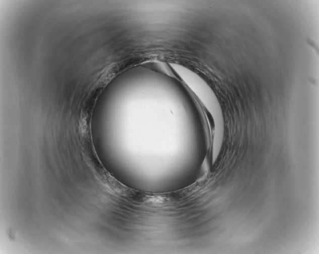 X0000098150611200805081043