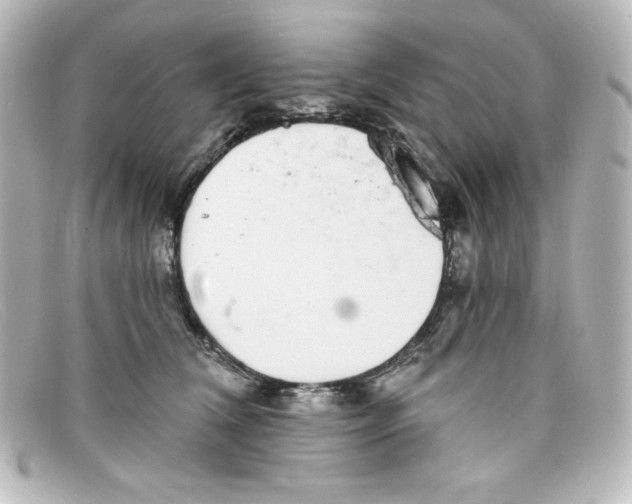 X0000098150612200805081043