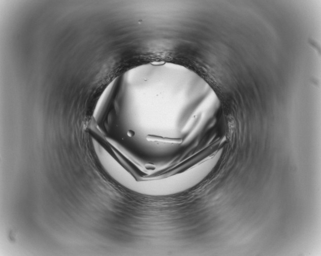 X0000098150613200805081043