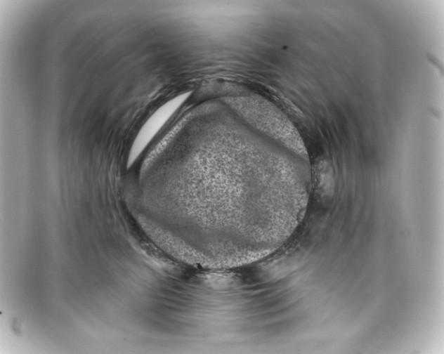 X0000098150615200805081043