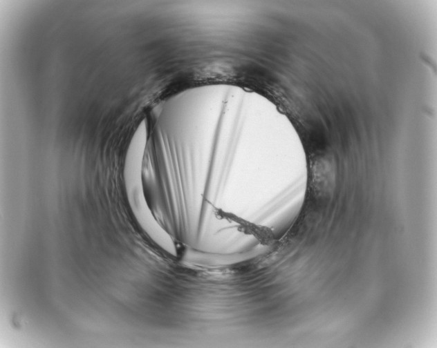 X0000098150617200805081043