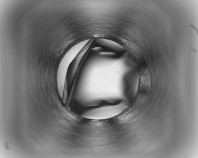 X0000098150620200805081043