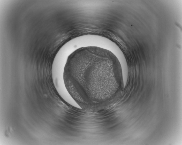 X0000098150621200805081043
