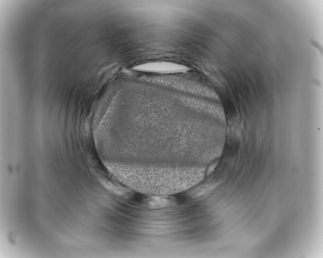 X0000098150623200805081043
