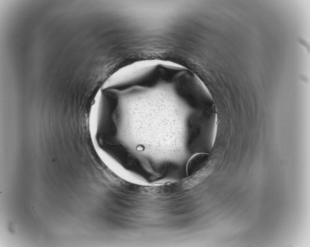 X0000098150624200805081043