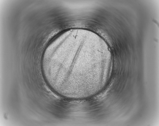 X0000098150625200805081042