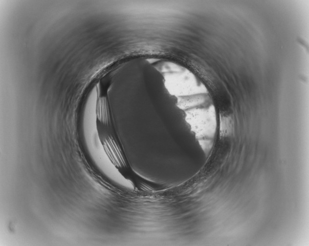 X0000098150627200805081042