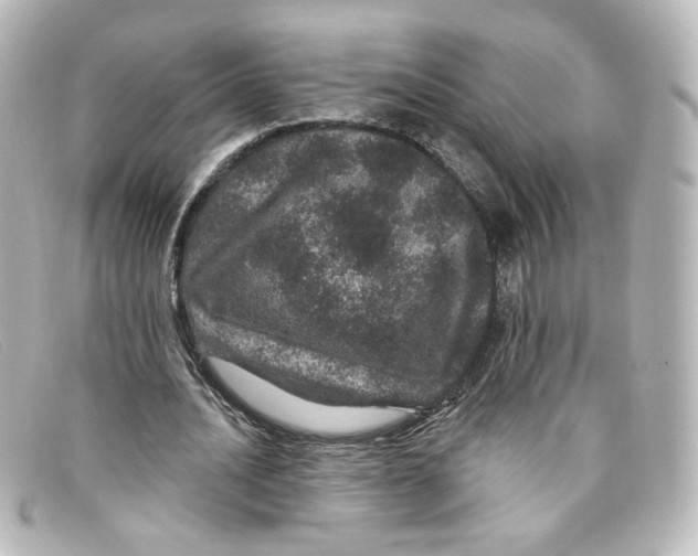 X0000098150628200805081042