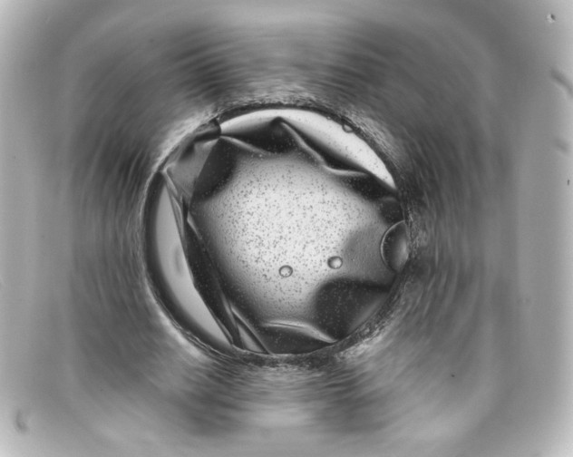 X0000098150630200805081042